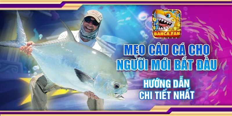 Mẹo Câu Cá Cho Người Mới Bắt Đầu – Hướng Dẫn Chi Tiết Nhất