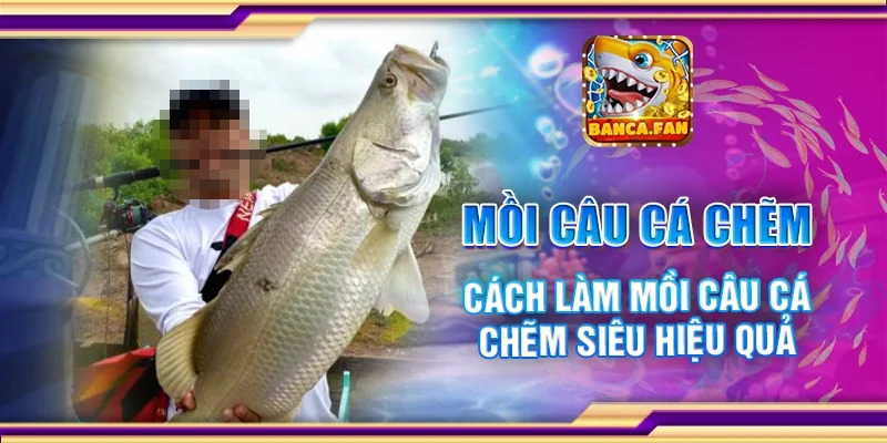 Mồi Câu Cá Chẽm – Cách Làm Mồi Câu Cá Siêu Hiệu Quả
