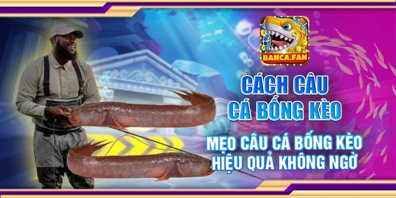 Cách Câu Cá Bống Kèo – Mẹo Câu Cá Hiệu Quả Không Ngờ