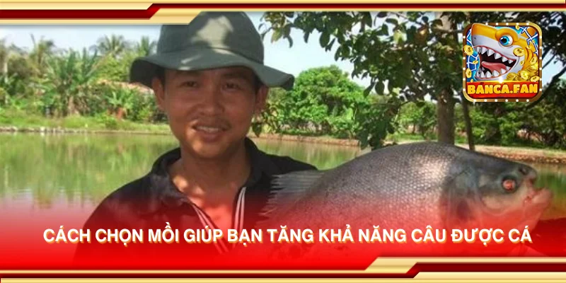 Cách chọn mồi giúp bạn tăng khả năng câu được cá