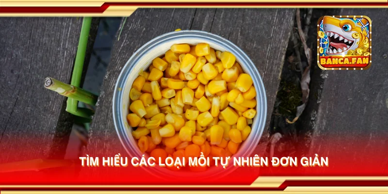 Tìm hiểu các loại mồi tự nhiên đơn giản