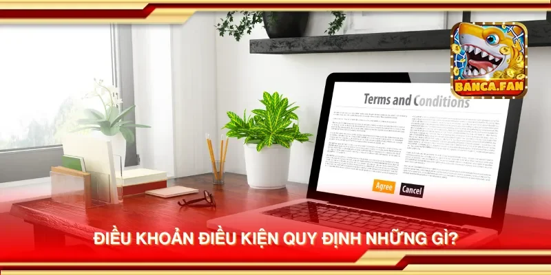 Điều khoản điều kiện quy định những gì?