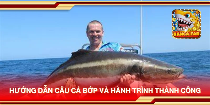 Hướng dẫn câu cá bớp và hành trình thành công