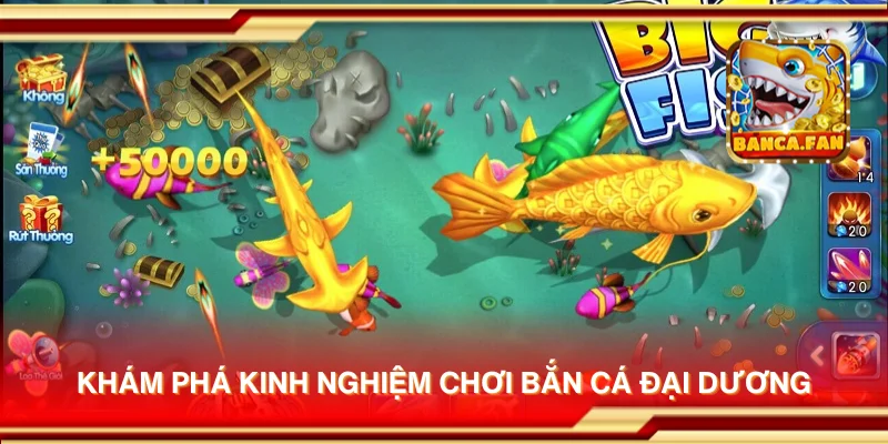 Khám phá kinh nghiệm chơi Bắn Cá Đại Dương