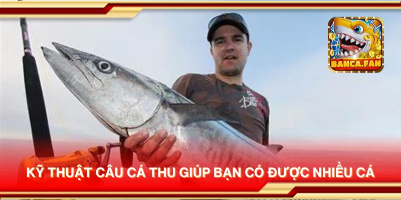 Kỹ thuật câu cá thu giúp bạn có được nhiều cá