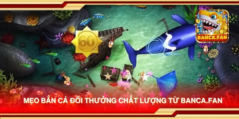 Mẹo bắn cá đổi thưởng chất lượng từ hdtube.in
