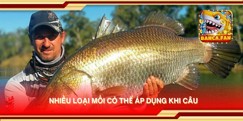 Nhiều loại mồi có thể áp dụng khi câu