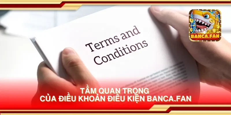 Tầm quan trọng của điều khoản điều kiện hdtube.in