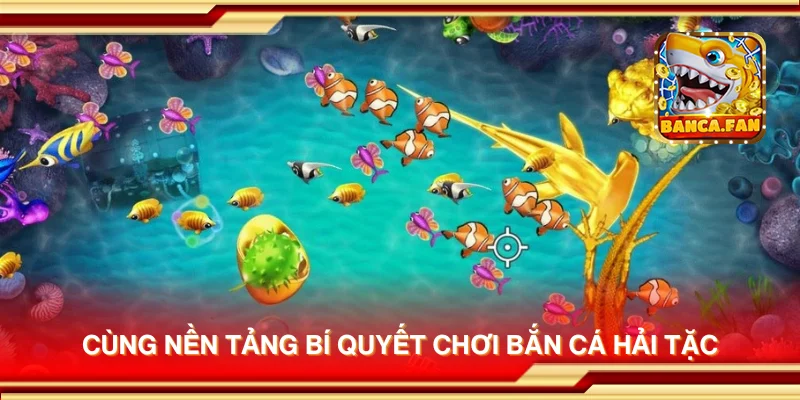 Cùng nền tảng bí quyết chơi Bắn Cá Hải Tặc