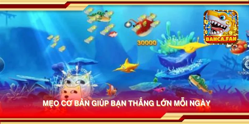 Mẹo cơ bản giúp bạn thắng lớn mỗi ngày