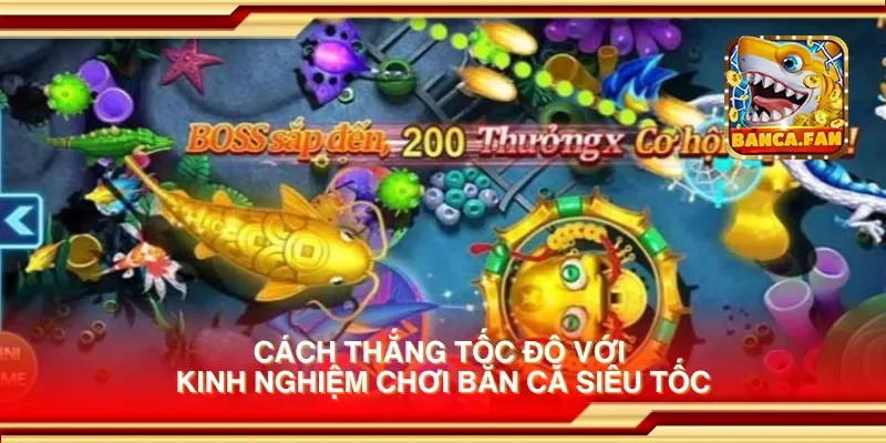 Cách thắng tốc độ với kinh nghiệm chơi bắn cá siêu tốc