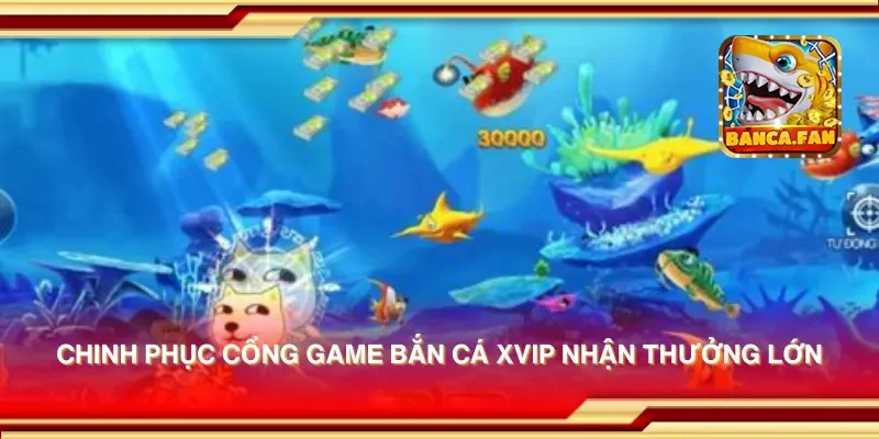 Chinh phục cổng game bắn cá xvip nhận thưởng lớn
