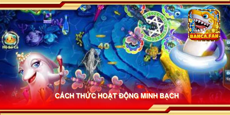 Cách thức hoạt động minh bạch