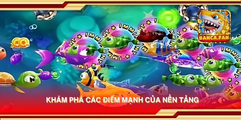 Khám phá các điểm mạnh của nền tảng