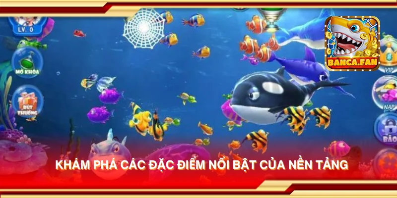 Khám phá các đặc điểm nổi bật của nền tảng
