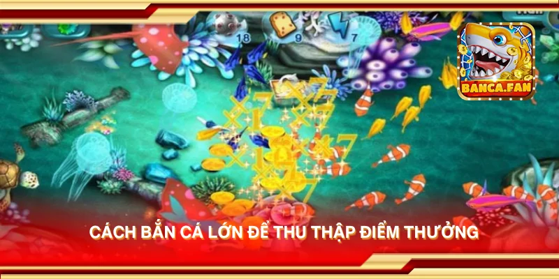Cách bắn cá lớn để thu thập điểm thưởng